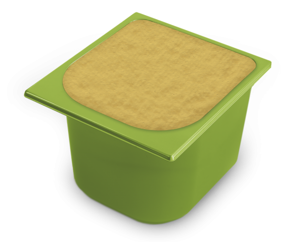 SORBETE DE MANGO 2,5L