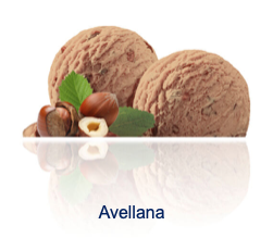 AVELLANA 2,4L